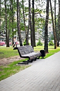 Кованые скамейки для парков, лавочки для аллей